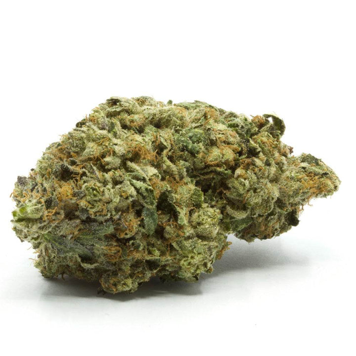 Amnesia Haze | 10 - OH - HHC 35% - Brain Chill