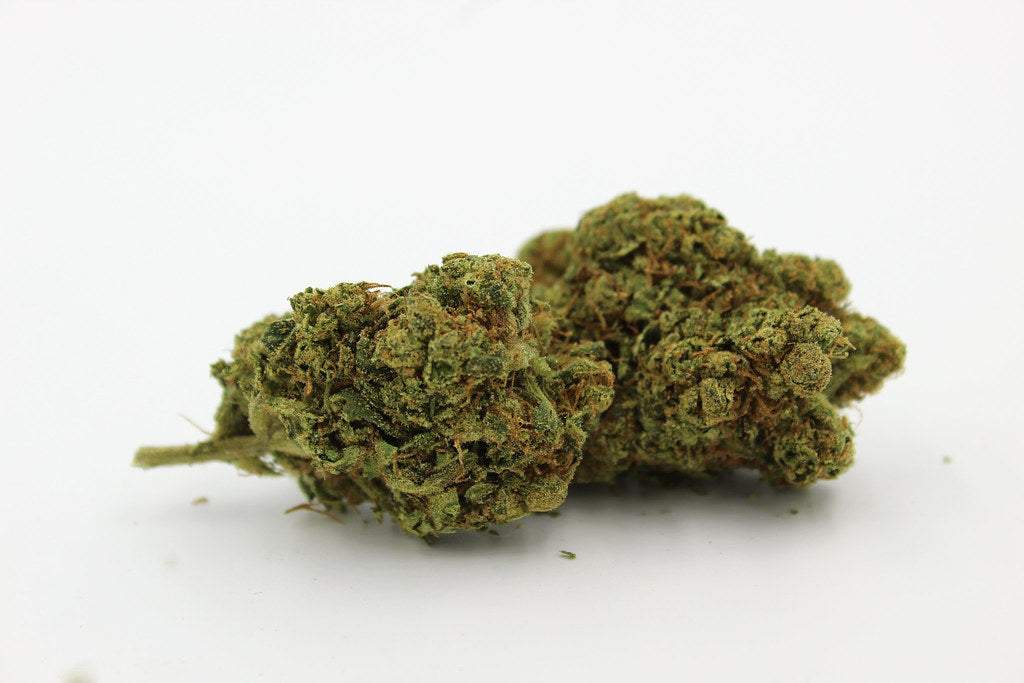 King Potato 🍄 | 15% Muscimol - Brain Chill