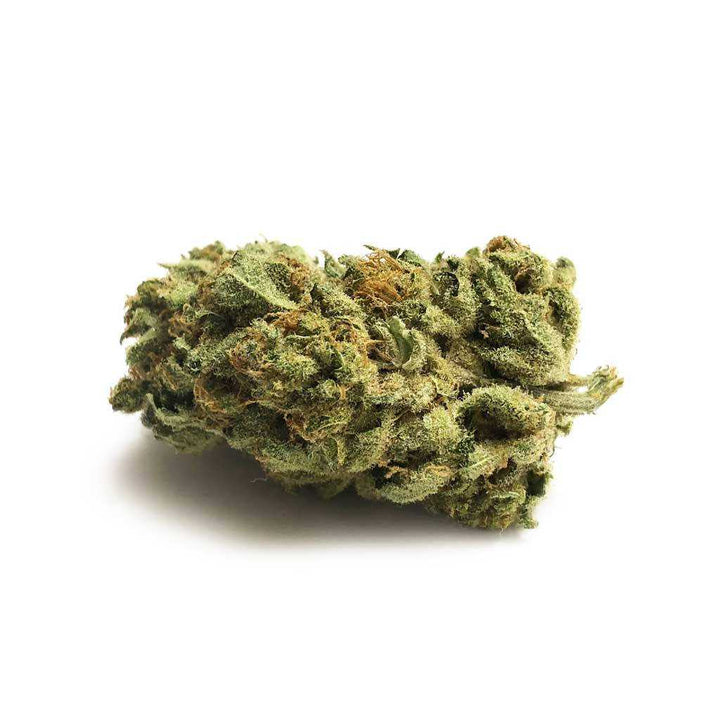 King Potato 🍄 | 15% Muscimol - Brain Chill