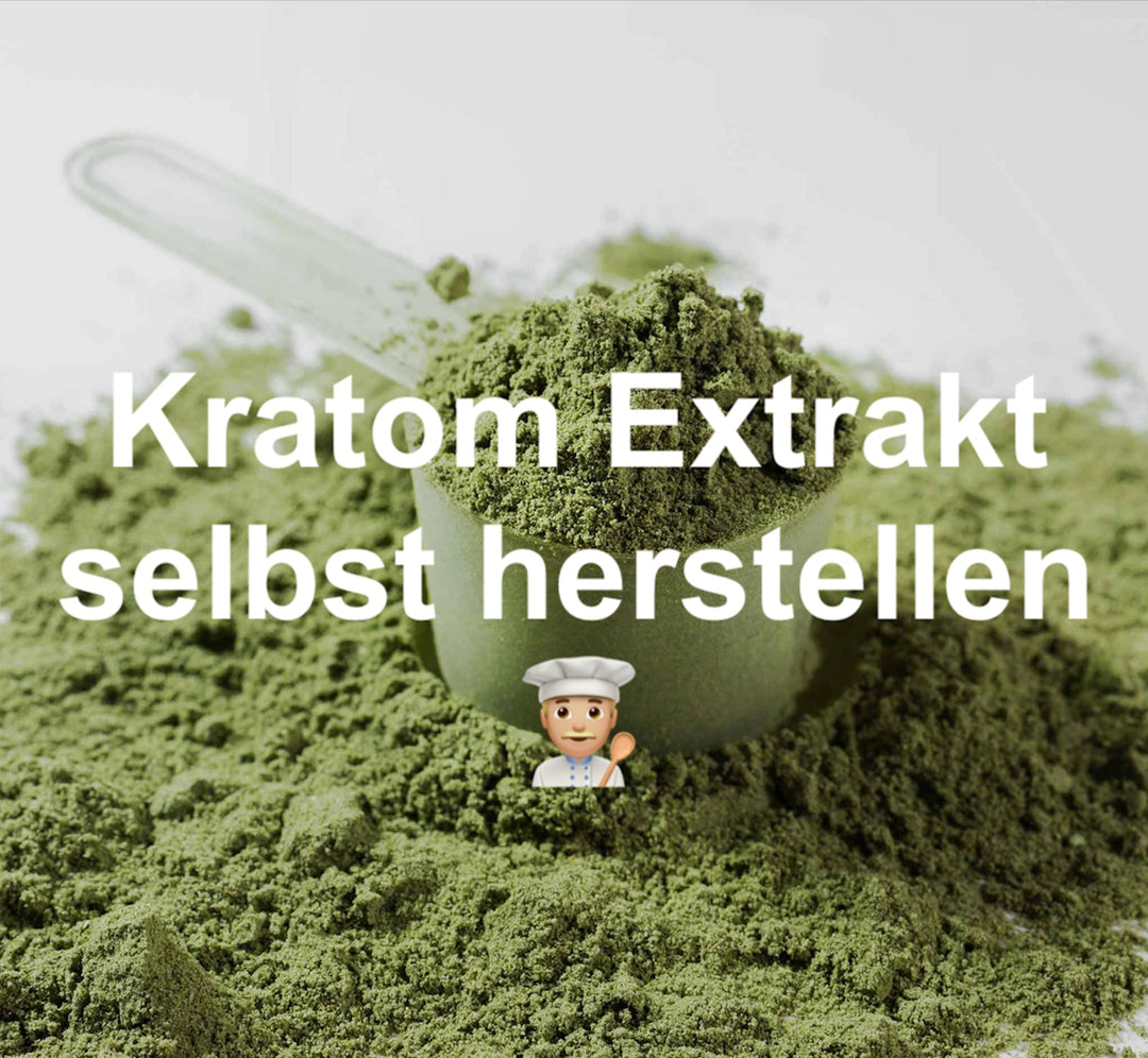 Die Kraft des Kratom Extrakts – Alles über Wirkung & Herstellung - Brain Chill