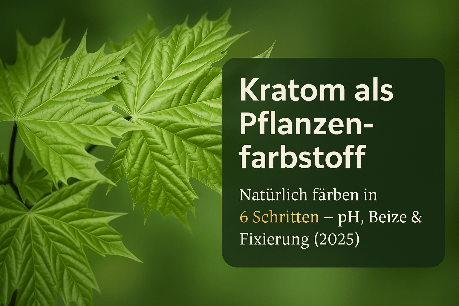 Kratom als Pflanzenfarbstoff: DIY-Anleitung & Nachhaltige Färbetechniken 2025 - Brain Chill