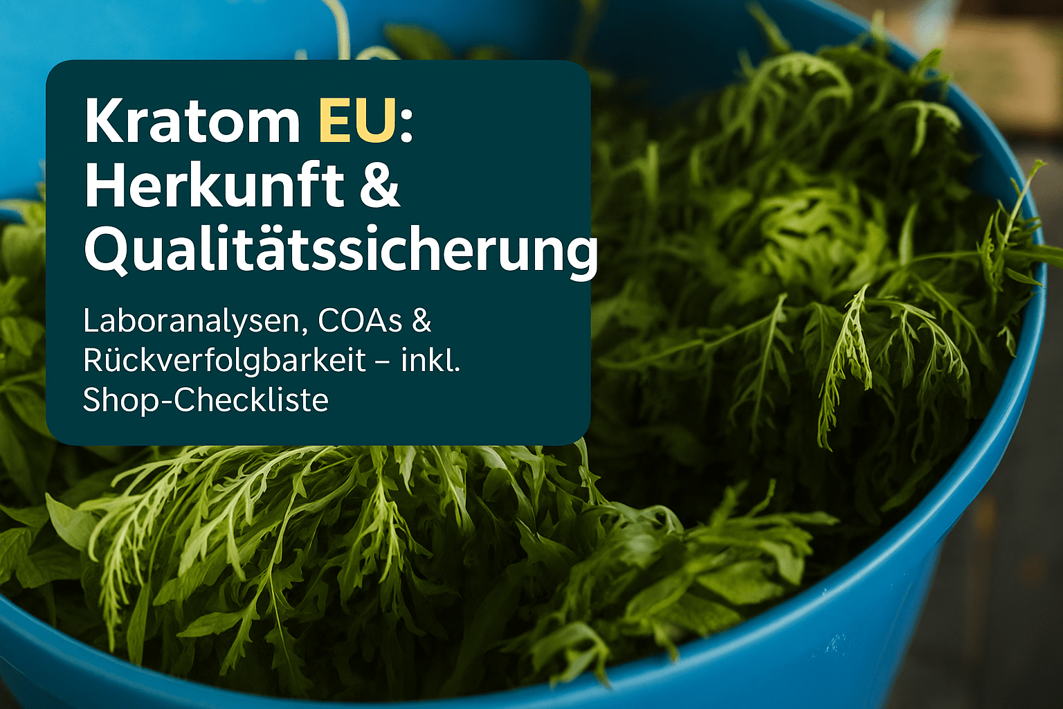 kratom eu: Herkunft & Qualitätssicherung in Europa - Brain Chill