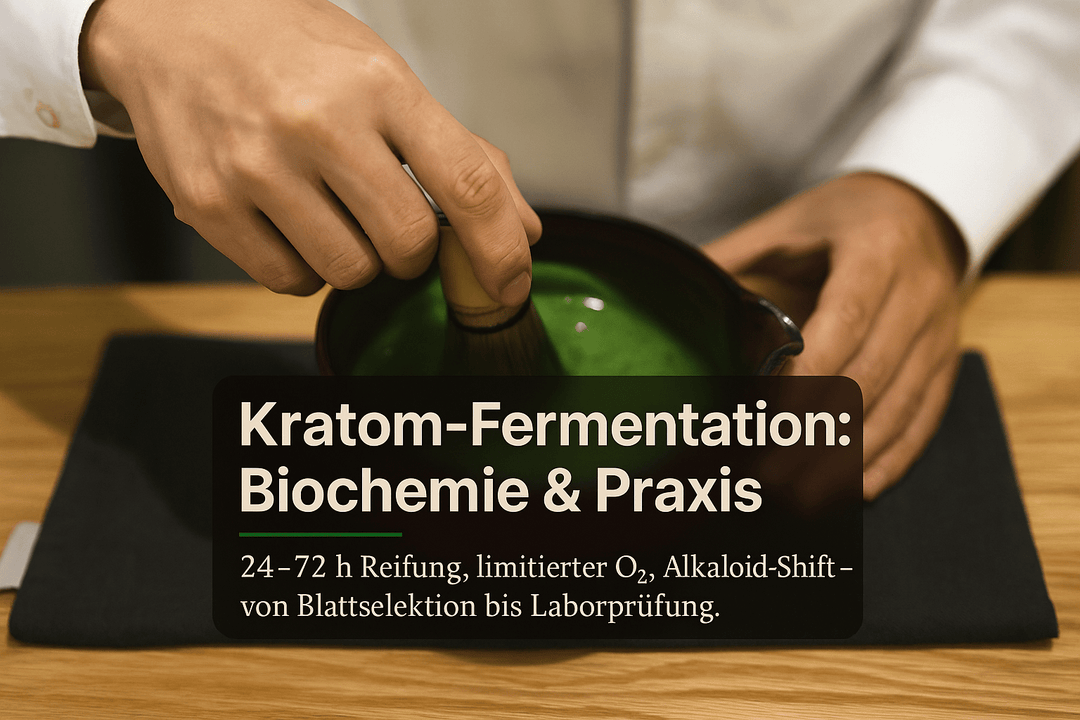 Kratom Fermentierungsprozess: Biochemie & Praxis - Brain Chill