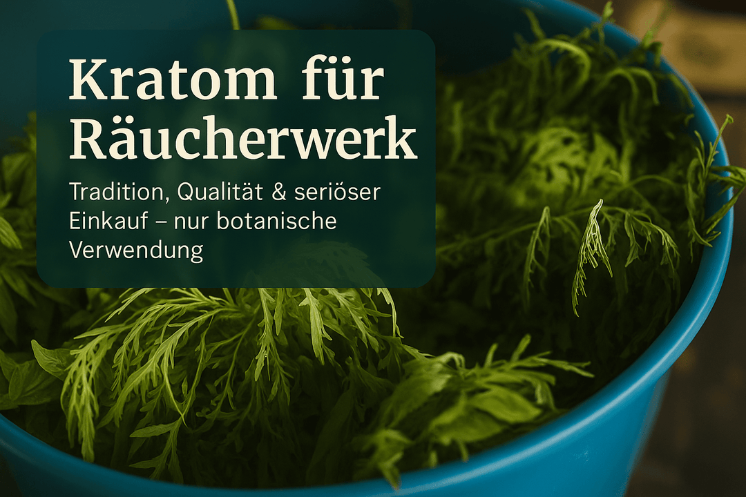 Kratom für Räucherwerk: Tradition, Qualität und verantwortungsvoller Kauf - Brain Chill