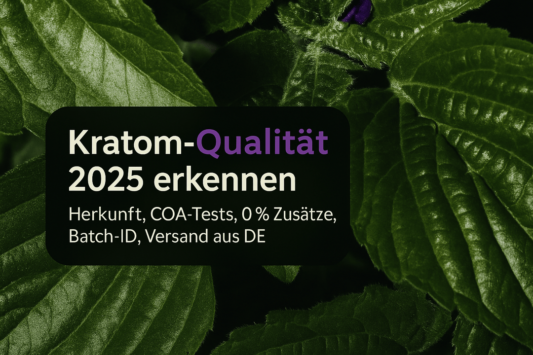 Kratom hohe Qualität: Qualitätsmerkmale erkennen & vergleichen 2025 - Brain Chill