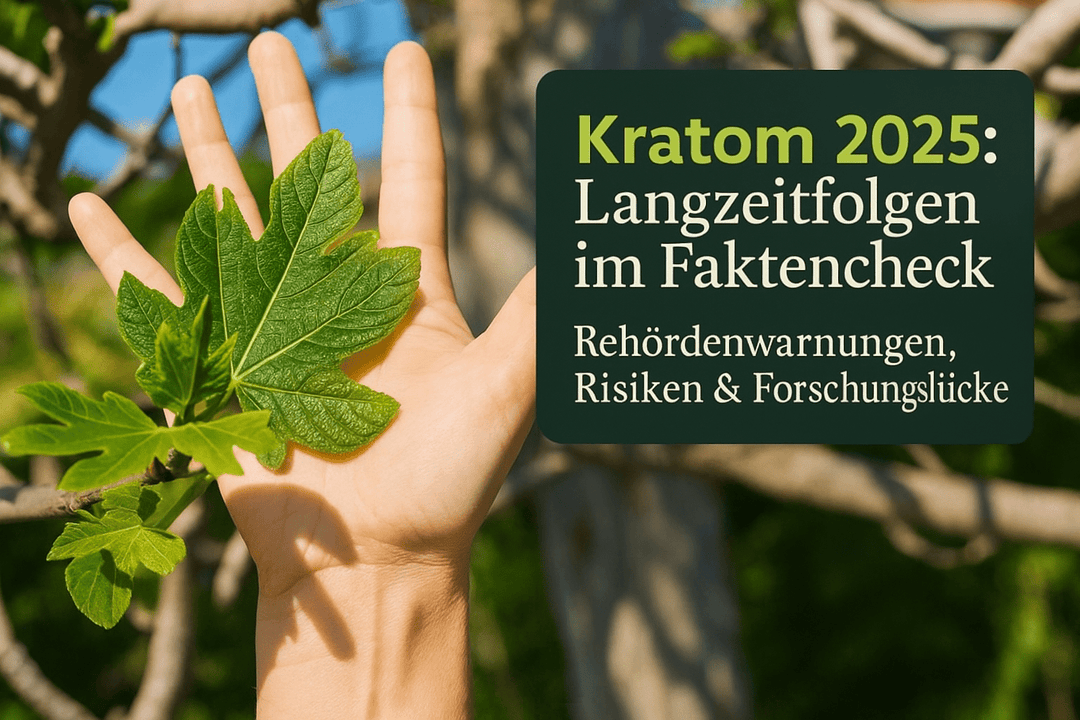 Kratom Langzeitfolgen 2025: Risiken, Behördenwarnungen und Wissenslücken - Brain Chill