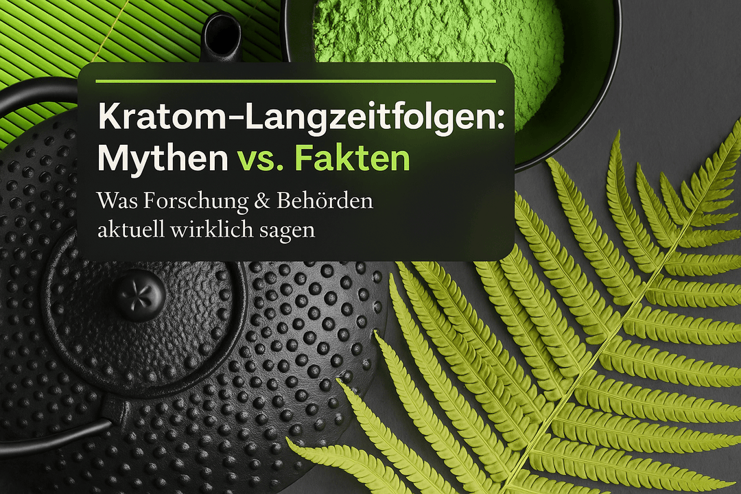 Kratom Langzeitfolgen: Mythen vs. Fakten aus der Forschung - Brain Chill