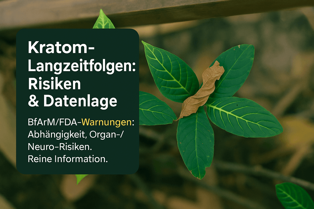 Kratom Langzeitfolgen: Risiken, Datenlage und behördliche Warnungen - Brain Chill