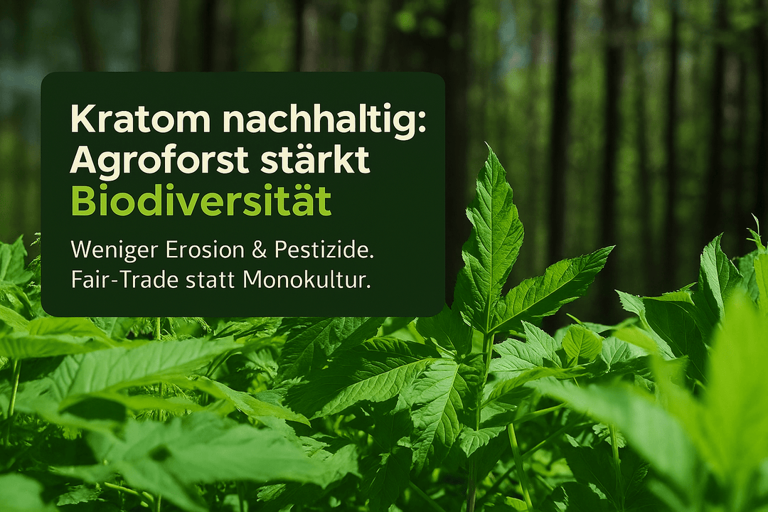 Kratom ökologische Auswirkungen: Nachhaltiger Anbau für Biodiversität - Brain Chill
