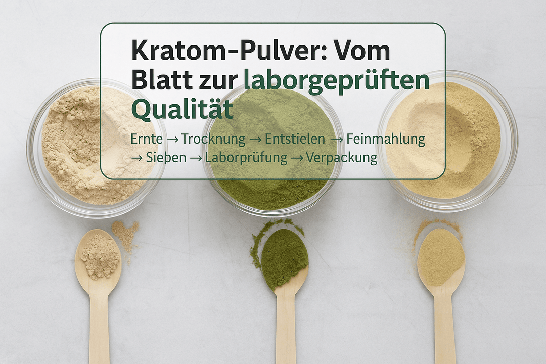 Kratom Pulver Herstellungsprozess: Vom Blatt zur laborgeprüften Qualität - Brain Chill