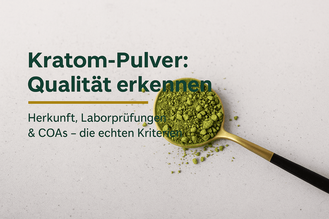Kratom Pulver Qualität: Woran du hochwertiges Pulver wirklich erkennst - Brain Chill