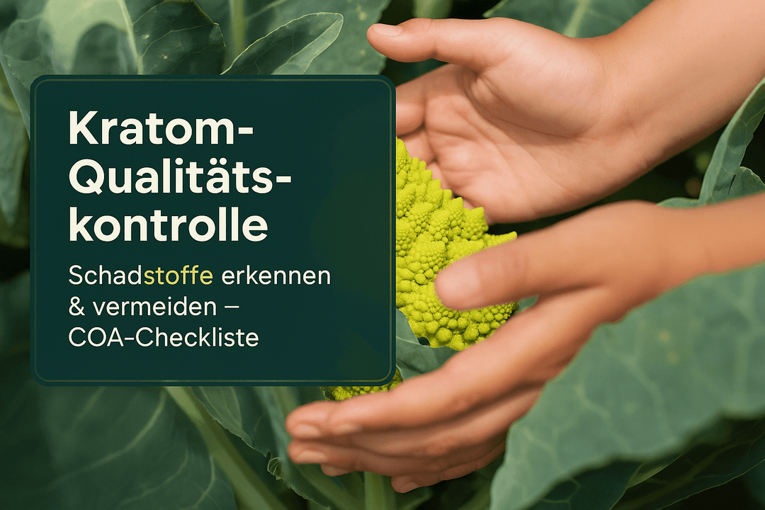 Kratom-Qualitätskontrolle: Schadstoffe erkennen und vermeiden – Ihr vollständiger Leitfaden - Brain Chill