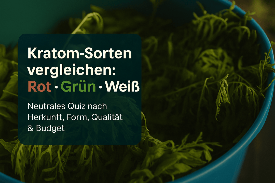 kratom sorten vergleich rotes grünes weißes: Interaktives Quiz zur Auswahl - Brain Chill