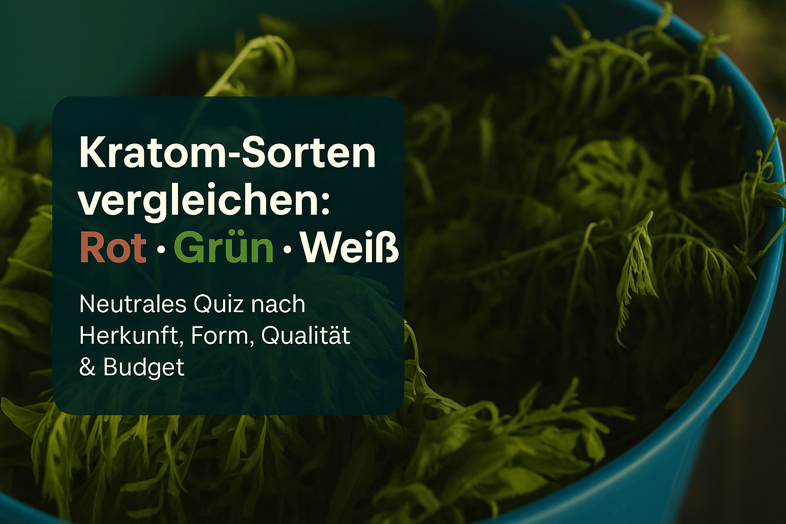 kratom sorten vergleich rotes grünes weißes: Interaktives Quiz zur Auswahl - Brain Chill