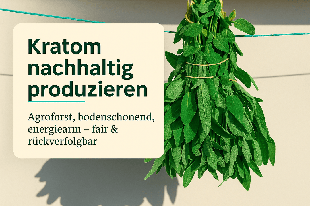 Kratom umweltschonende Produktion: Leitfaden für nachhaltigen Anbau - Brain Chill