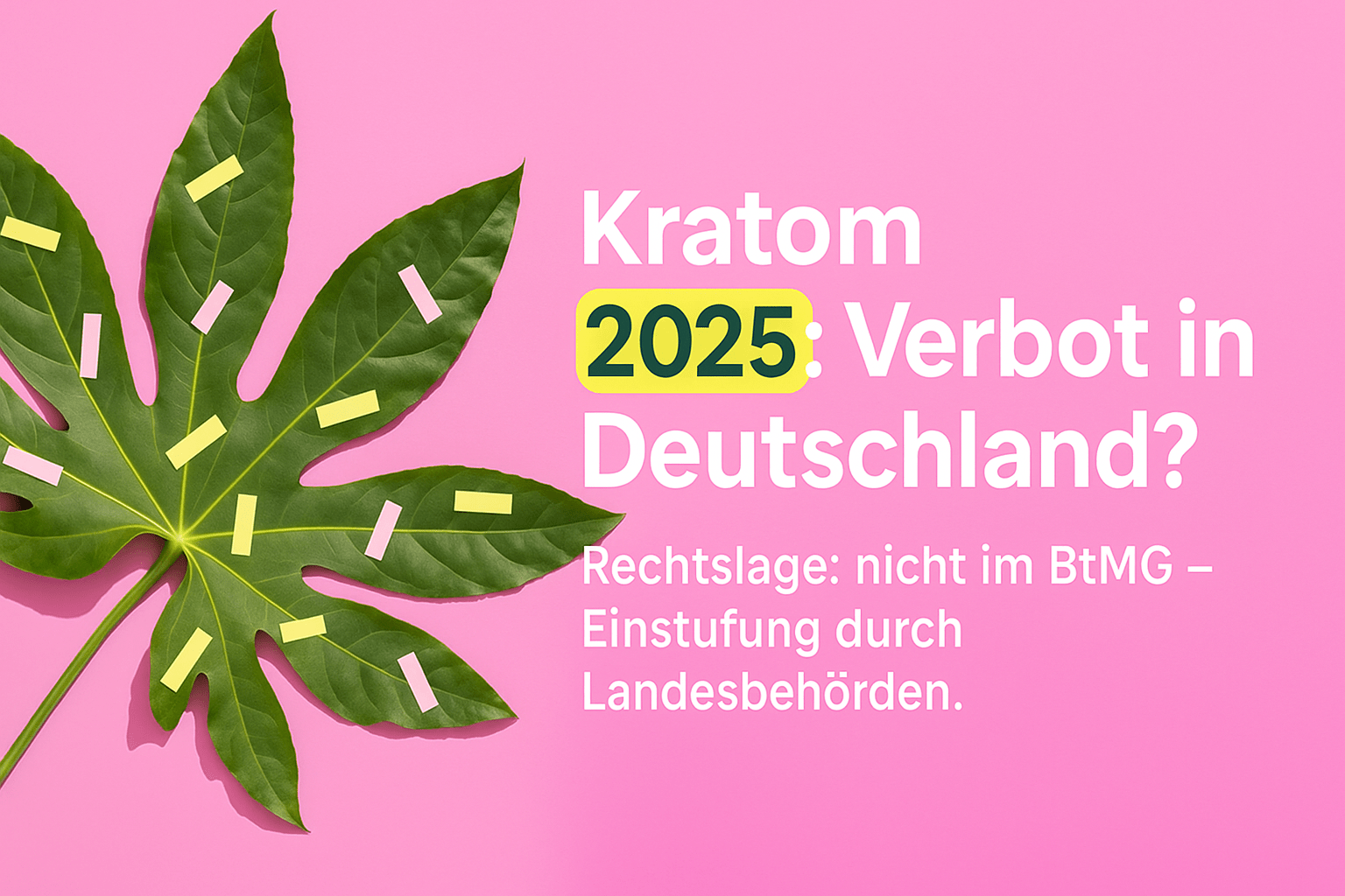 Kratom-Verbot 2025: Aktuelle Rechtslage und Auswirkungen in Deutschland - Brain Chill