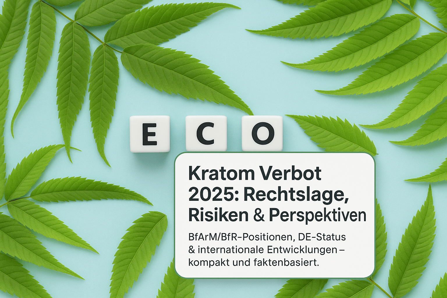 Kratom Verbot: Rechtslage, Risiken & Perspektiven 2025 - Brain Chill