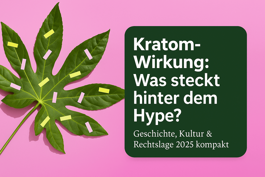 Kratom Wirkung: Was steckt hinter dem Hype? Geschichte, Kultur & Rechtslage 2025 - Brain Chill