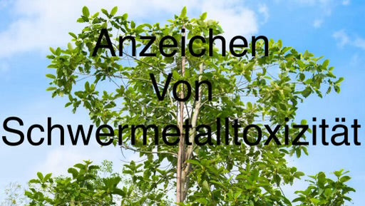 Schwermetalle in Kratom