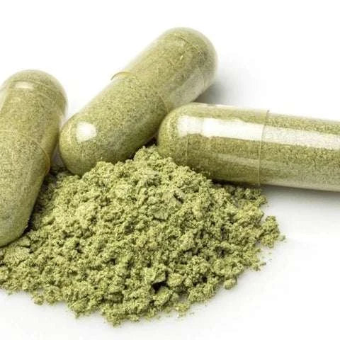 Nahaufnahme von Kratom Kapseln 500 mg - Premium Qualität aus Deutschland