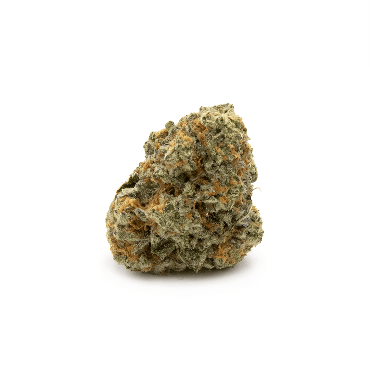 Amnesia Haze - Brain Chill