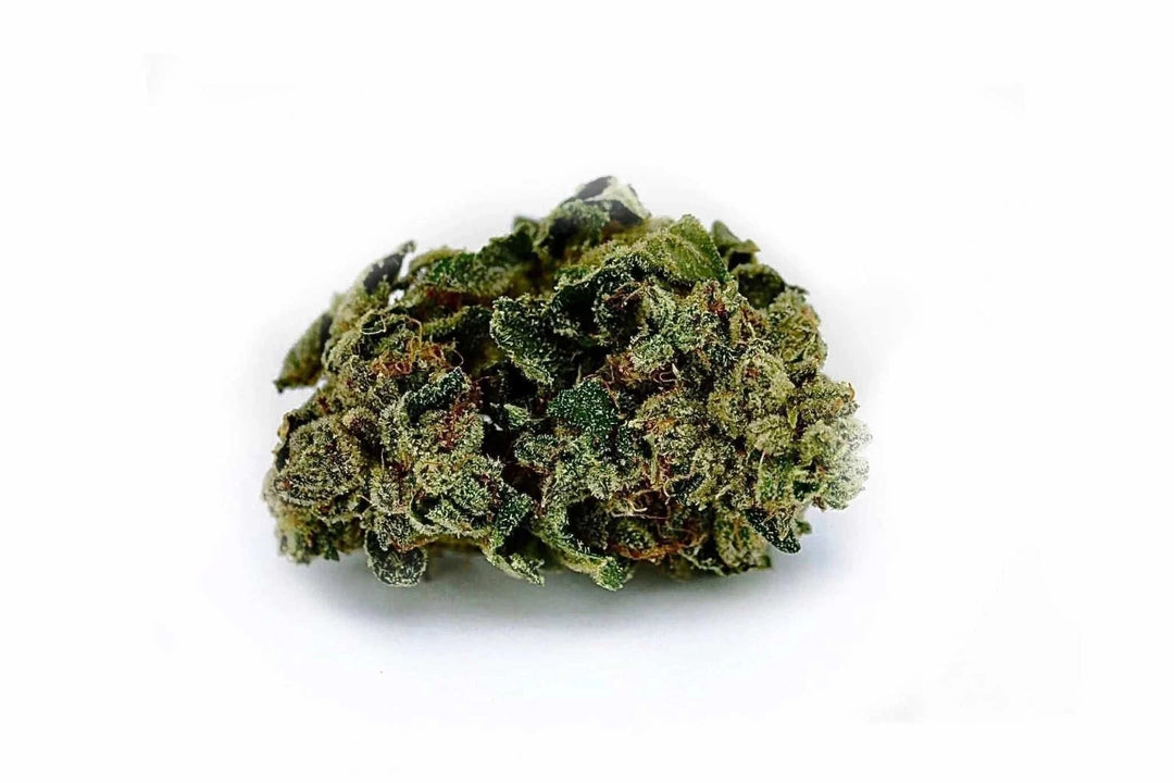 Blackberry Kush | HHC 30% x THCP 5% | - Brain Chill