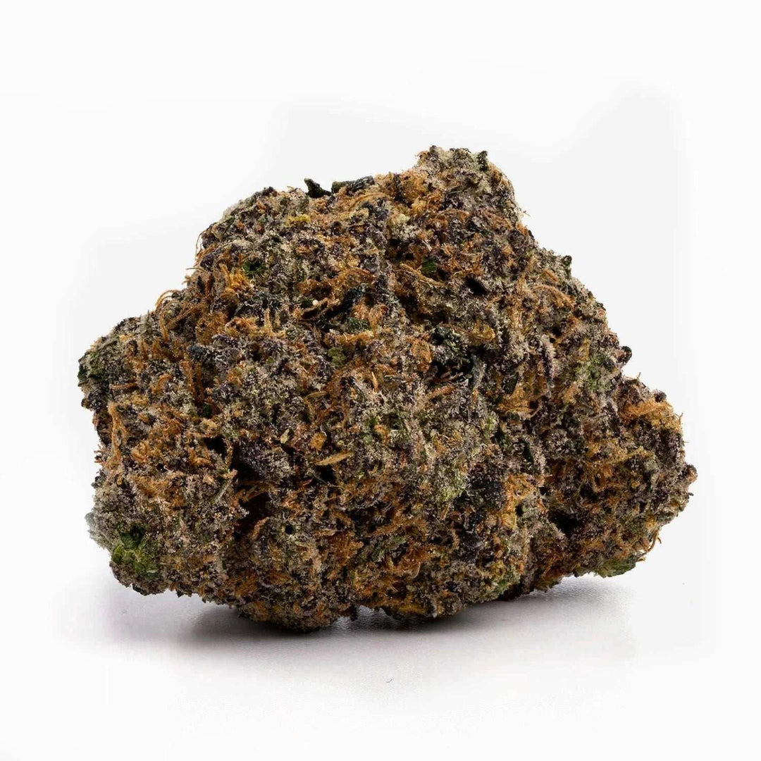 Gelato | HHC 30% | THCP 5% | 3 - 10 g - Brain Chill