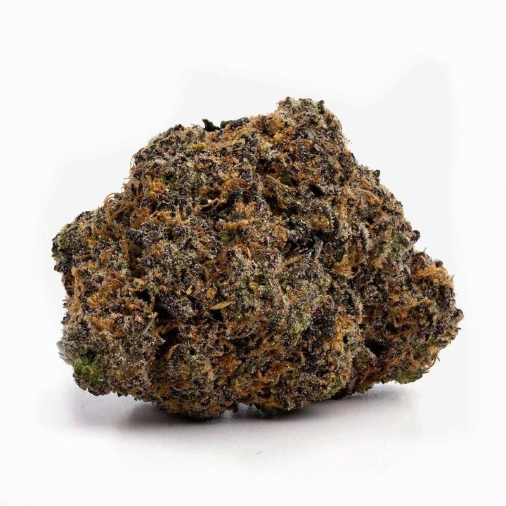 Gelato | HHC 30% | THCP 5% | 3 - 10 g - Brain Chill