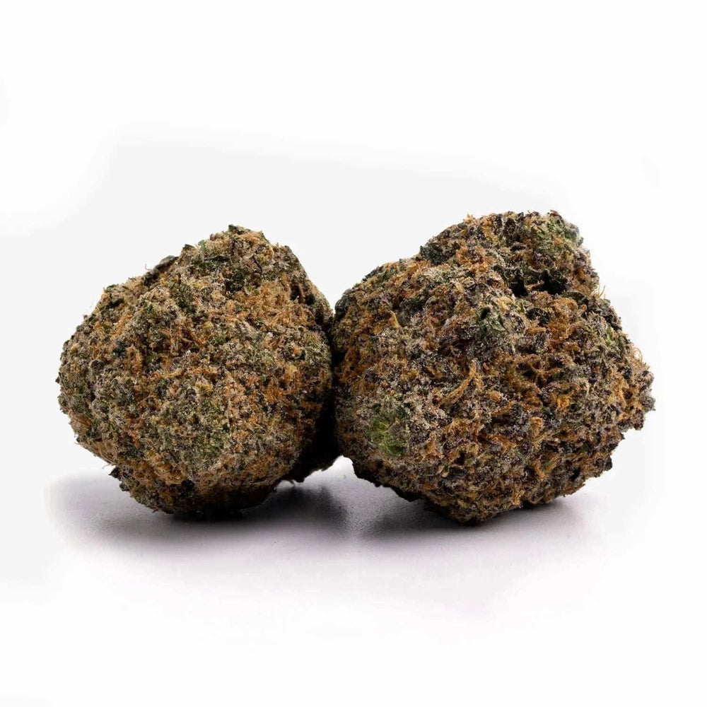 Gelato | HHC 30% | THCP 5% | 3 - 10 g - Brain Chill