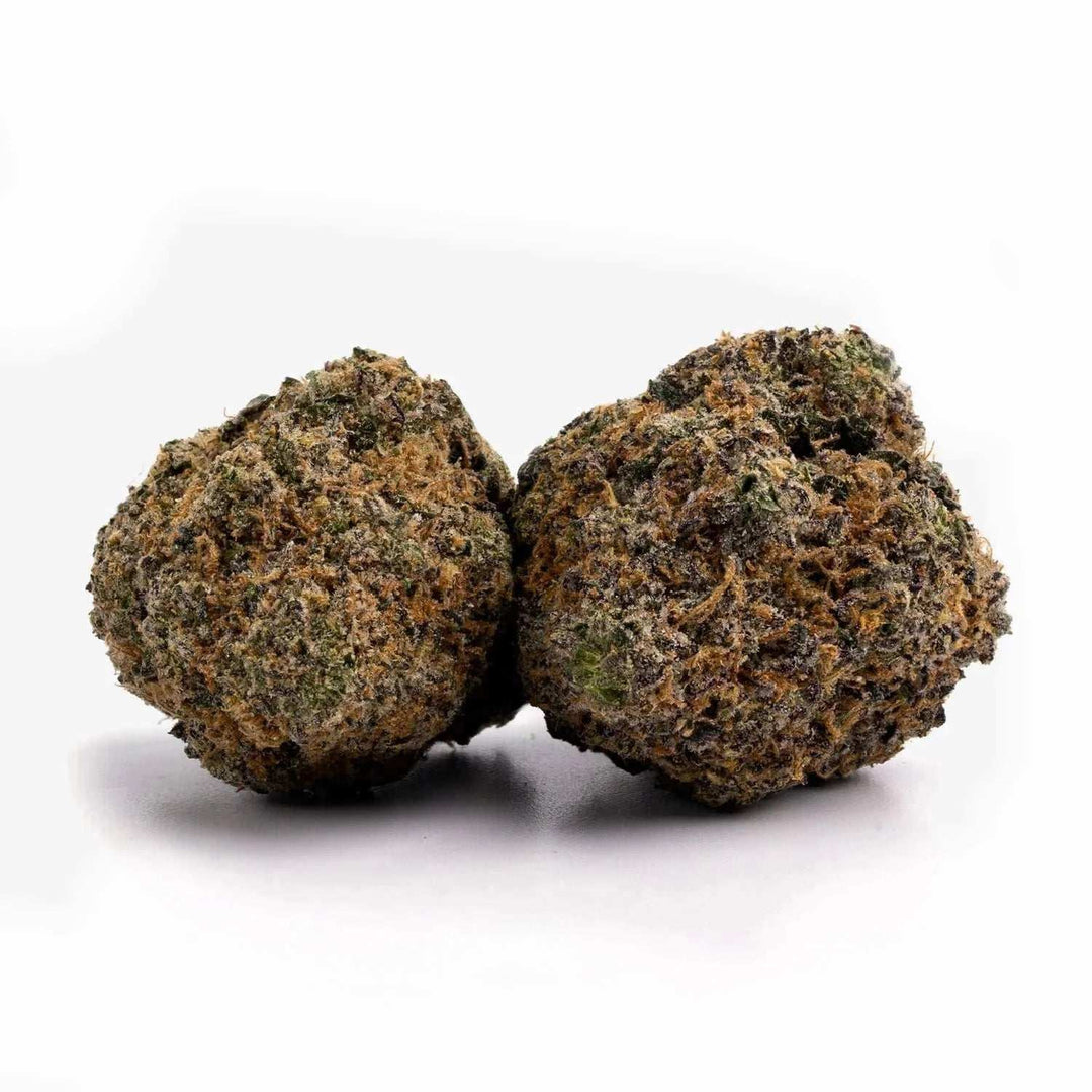 Gelato | HHC 30% | THCP 5% | 3 - 10 g - Brain Chill